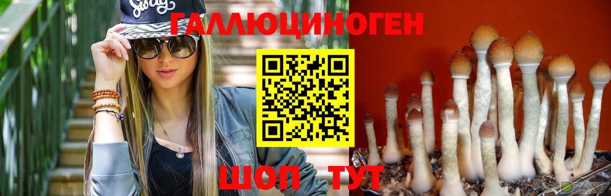 Янаул  Галлюциногенные грибы мицелий  Вход с VPN 